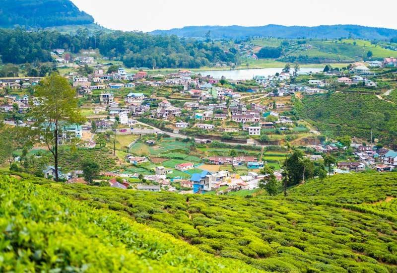 Green Mount View Two Bed Room Apartment Nuwara Eliya Exterior foto